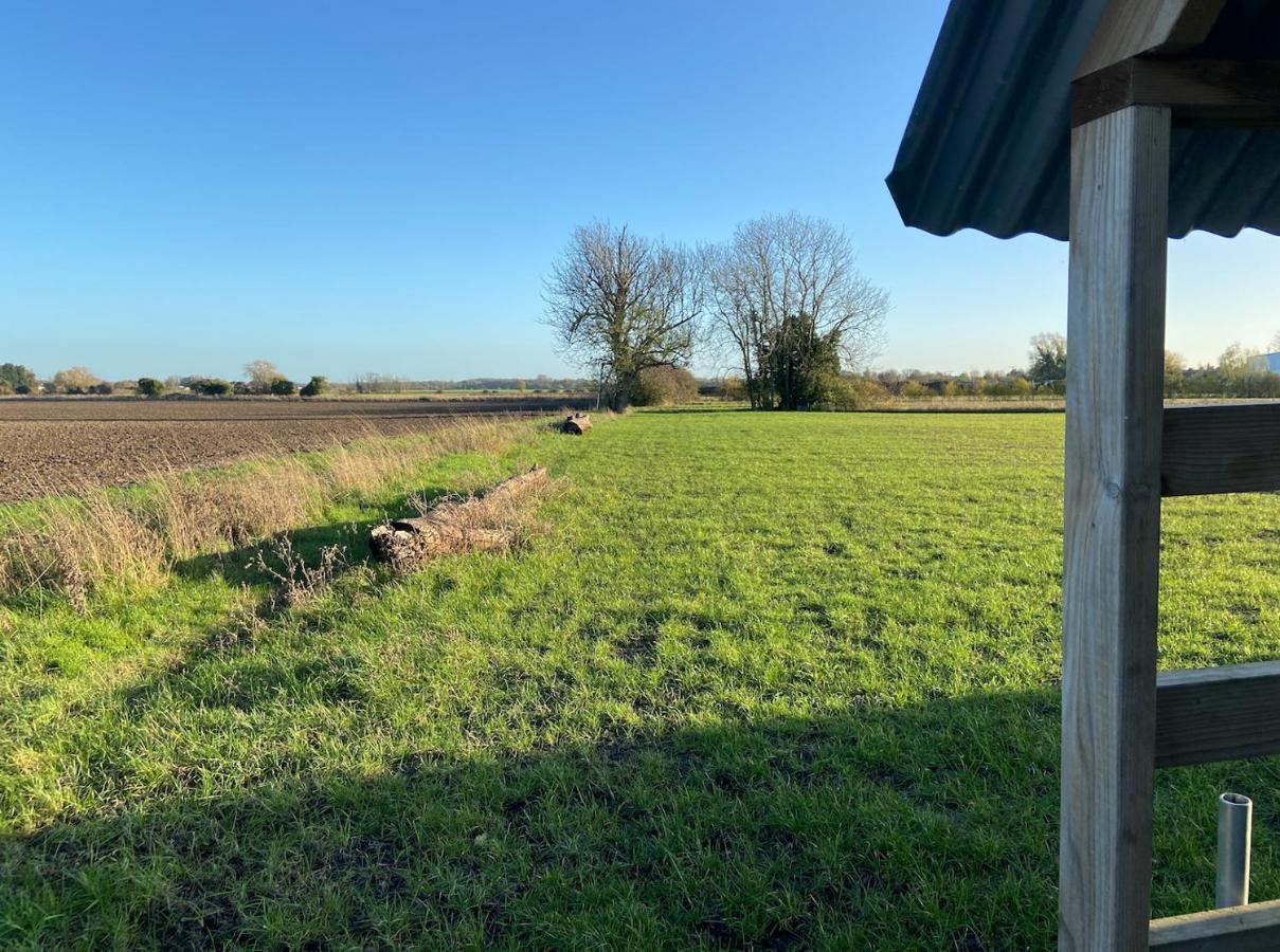 Fen Meadows Glamping - Luxury Cabins And Bell Tents Cambridge  Bagian luar foto