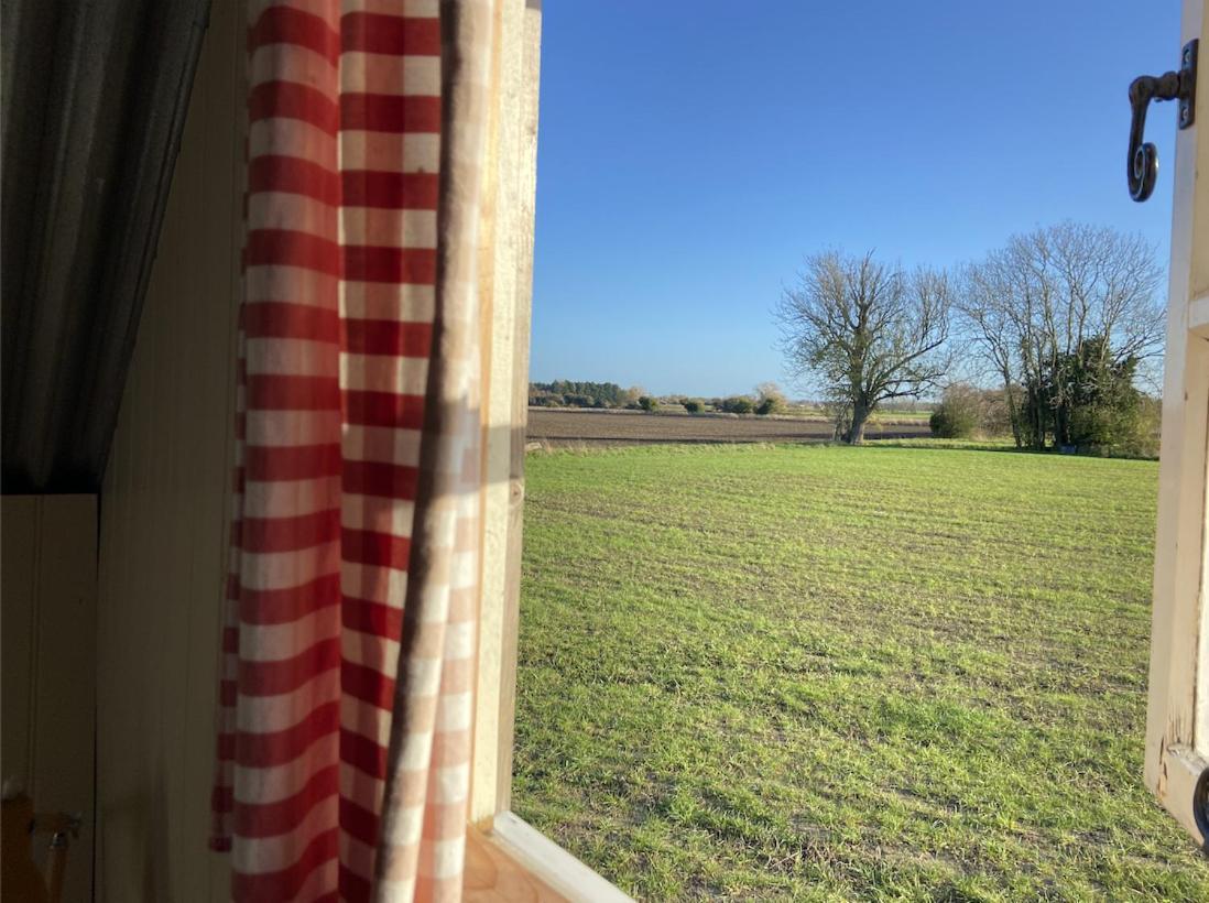 Fen Meadows Glamping - Luxury Cabins And Bell Tents Cambridge  Bagian luar foto