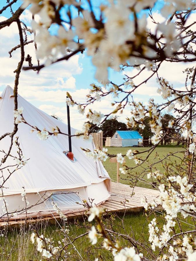 Fen Meadows Glamping - Luxury Cabins And Bell Tents Cambridge  Bagian luar foto